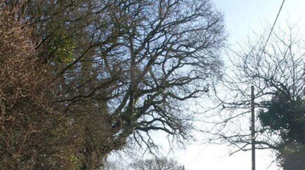 Church Lane, Nursling. The no through road leading away from 1722180 towards the crossroads with Station Road.