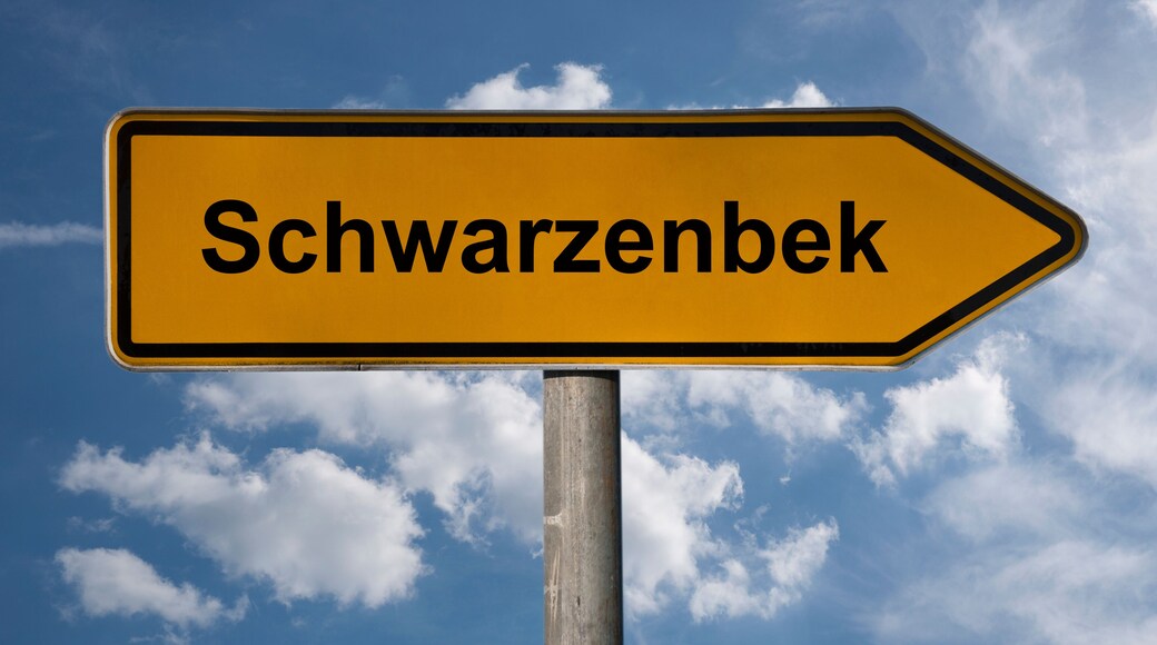 Wegweiser Schwarzenbek