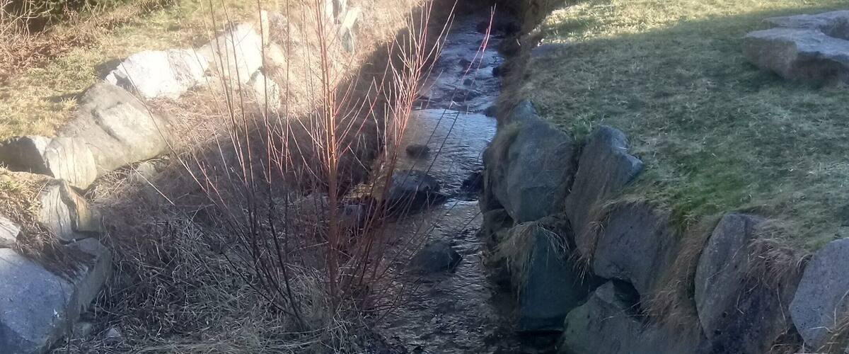 A small stream flowing through a rocky landscape with grass and bare trees.