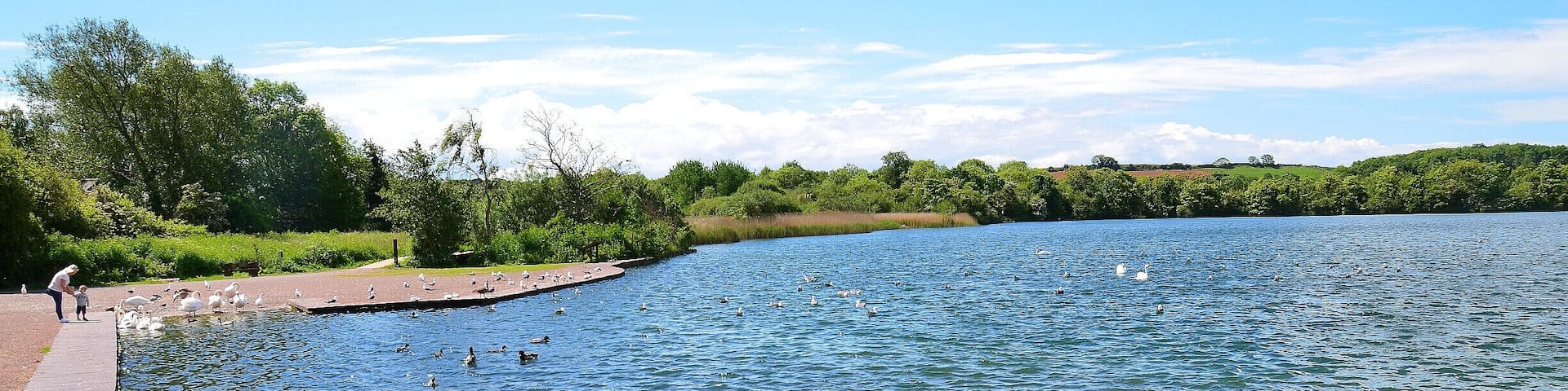 Cosmeston Lakes Country Park.
Penarth, Wales. UK
