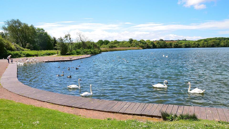 Cosmeston Lakes Country Park.
Penarth, Wales. UK