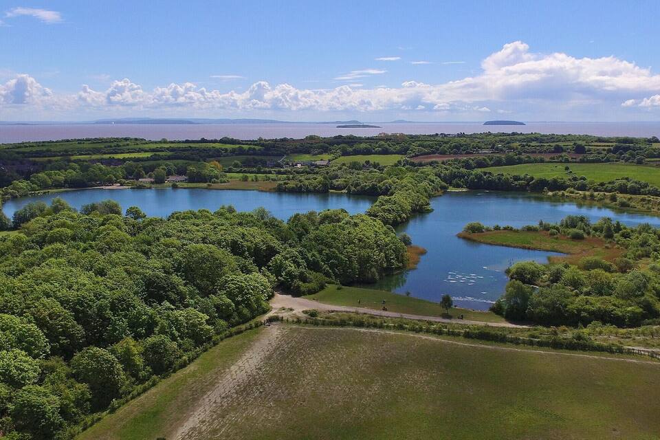 Un lago rodeado de un bosque verde frondoso, con cielo despejado y montañas distantes.