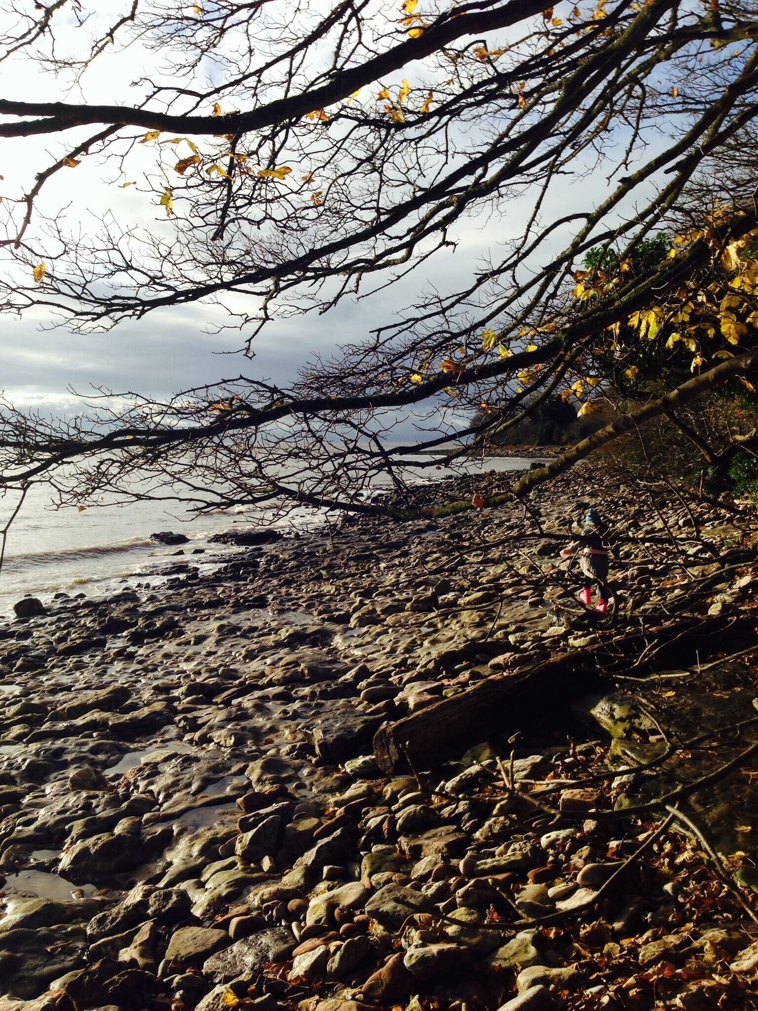 My local beach. A tranquil walk