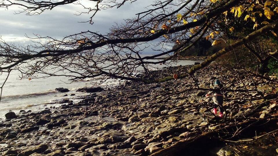My local beach. A tranquil walk