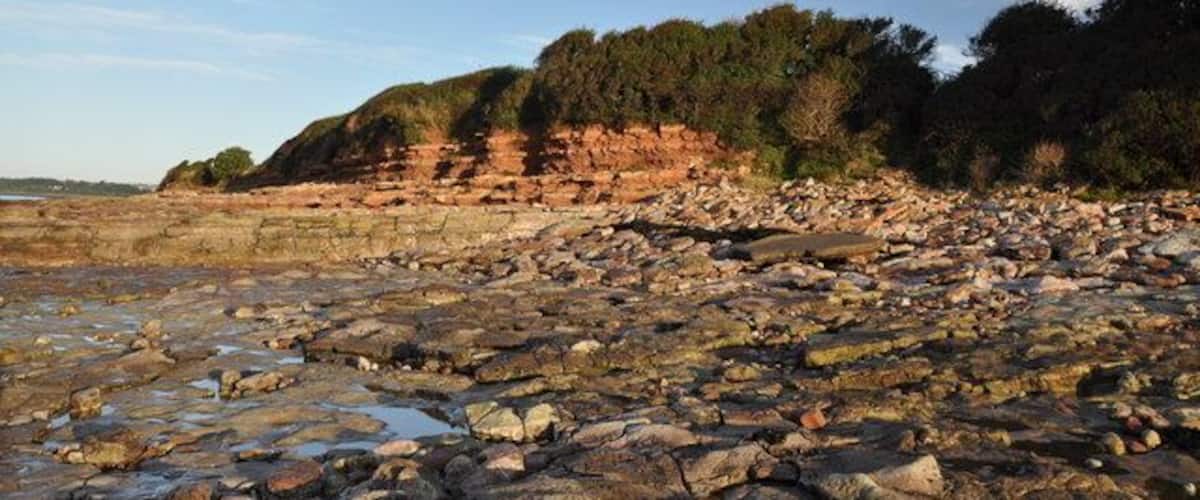Contrasting rock formations - Sully Bay The rocks in the Sully area comprise wet muds and silts which dried out when exposed to the sun. This is indicated by fine sand-filled cracks in some of the beds.