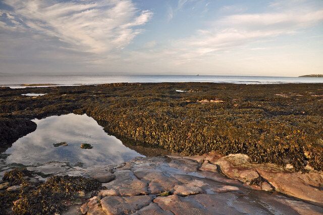 Rockpool and seaweed - Sully Bay The early morning sun has risen above a cloud bank to the east.
