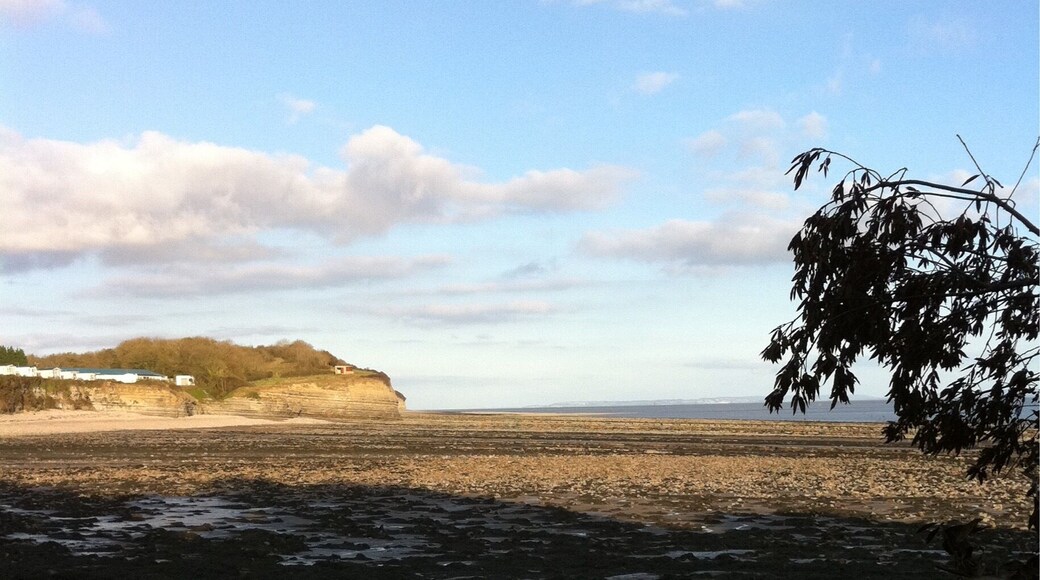 Peaceful walking beach. Great for fossil hunting. Hidden access