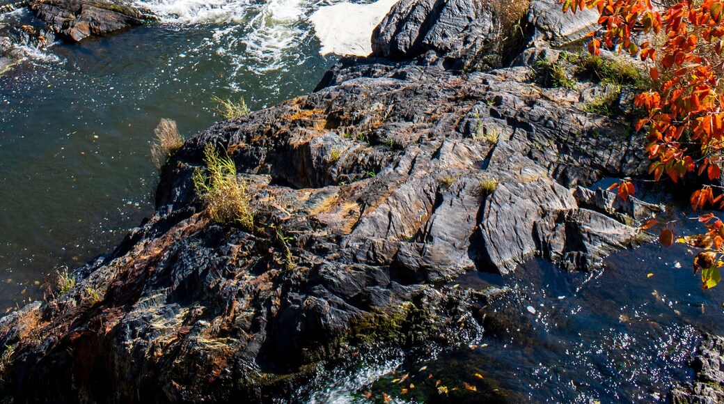 Kingsey Falls Waterfalls in Autumn