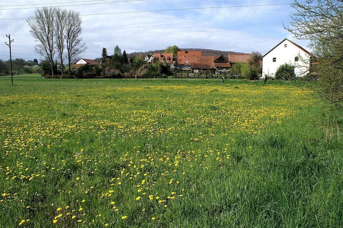 Keltern Dietenhausen 1