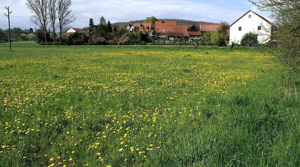 Keltern Dietenhausen 1