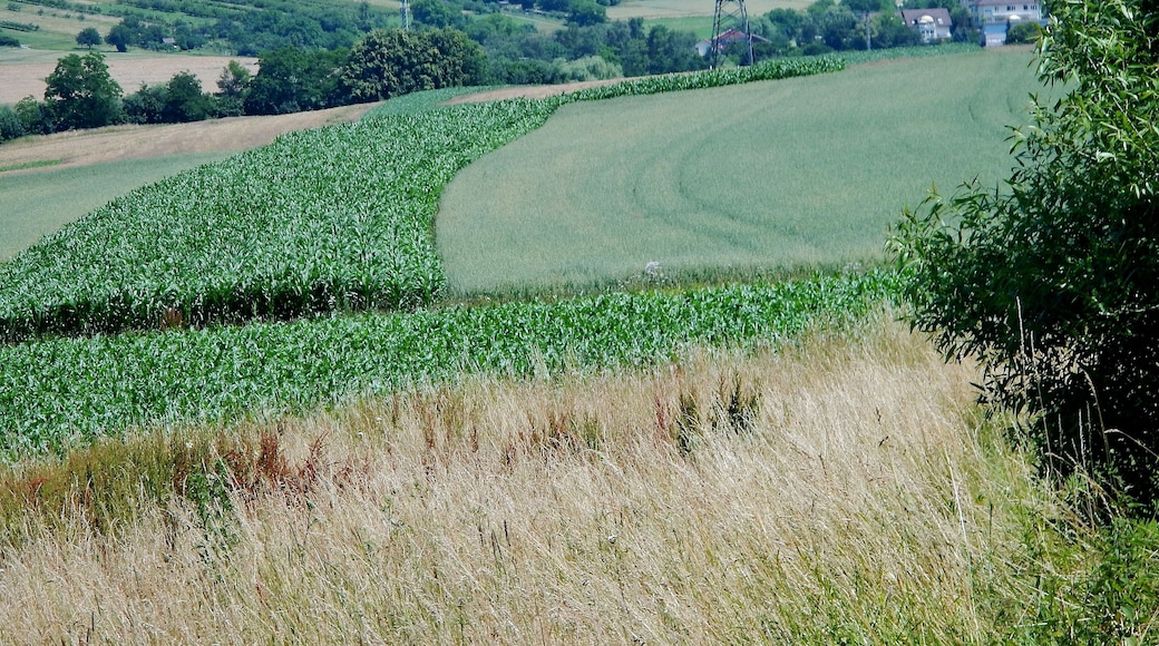 Landschaft bei Keltern, 220-kV-Freileitung
