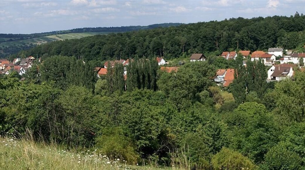 Panorama Niebelsbach