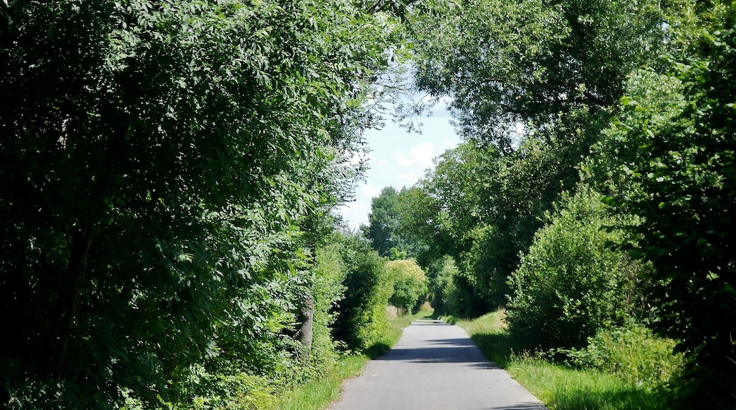 Bahntrassenradweg der Albtalbahn, auch Panoramabahn: Verband von 1900 bis 1968 Pforzheim mit Dietlingen, Ellmendingen, Ottenhausen und Ittersbach