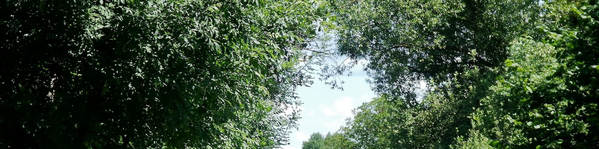 Bahntrassenradweg der Albtalbahn, auch Panoramabahn: Verband von 1900 bis 1968 Pforzheim mit Dietlingen, Ellmendingen, Ottenhausen und Ittersbach