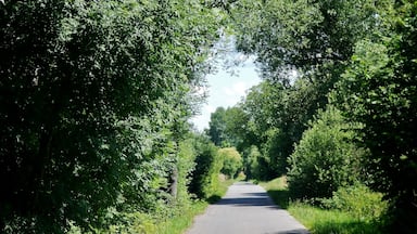 Bahntrassenradweg der Albtalbahn, auch Panoramabahn: Verband von 1900 bis 1968 Pforzheim mit Dietlingen, Ellmendingen, Ottenhausen und Ittersbach