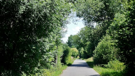 Bahntrassenradweg der Albtalbahn, auch Panoramabahn: Verband von 1900 bis 1968 Pforzheim mit Dietlingen, Ellmendingen, Ottenhausen und Ittersbach