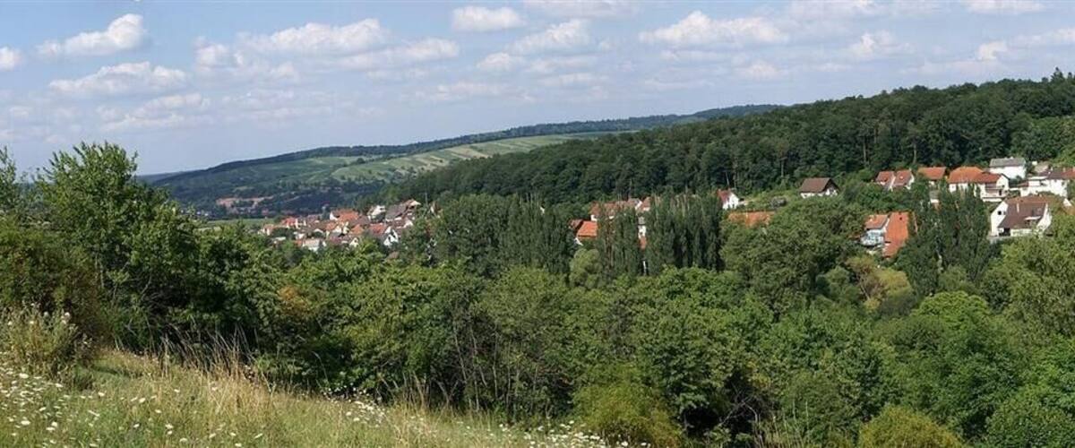 A rural landscape with rolling hills, scattered houses, and dense forests.
