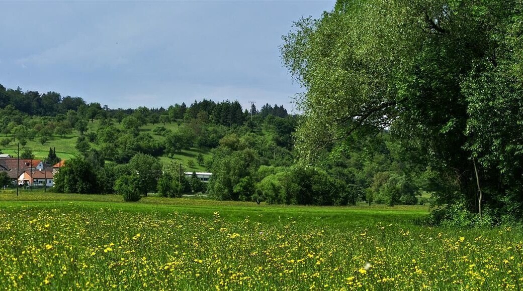 Das Pfinztal bei Dietenhausen