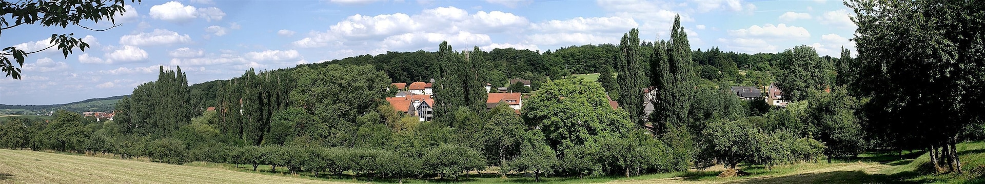 Panorama Niebelsbach
