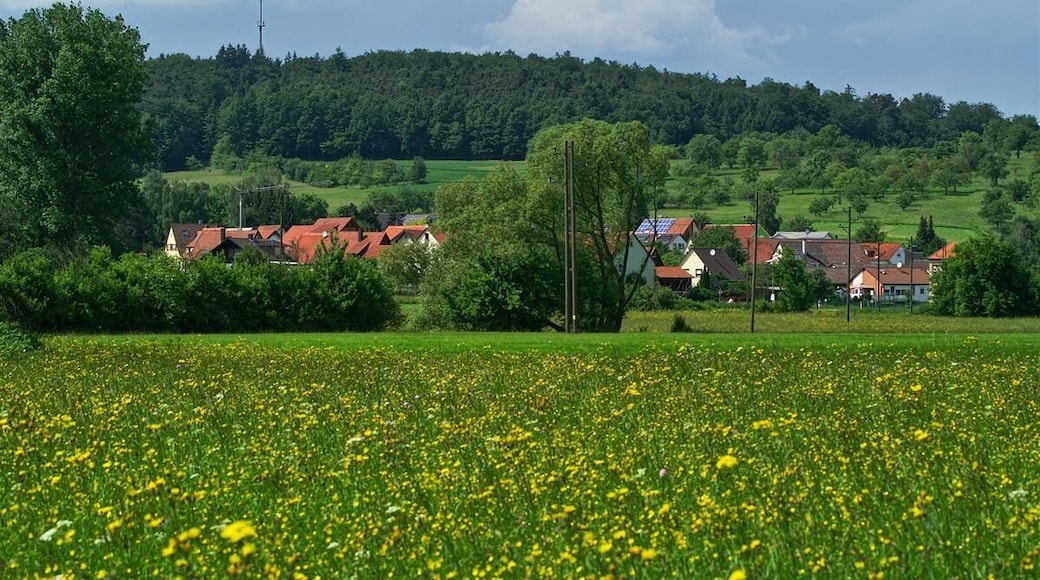 Blick von der Pfinz auf Dietenhausen 1