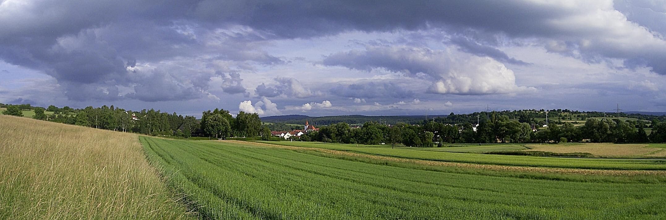 Ellmendingen_panorama