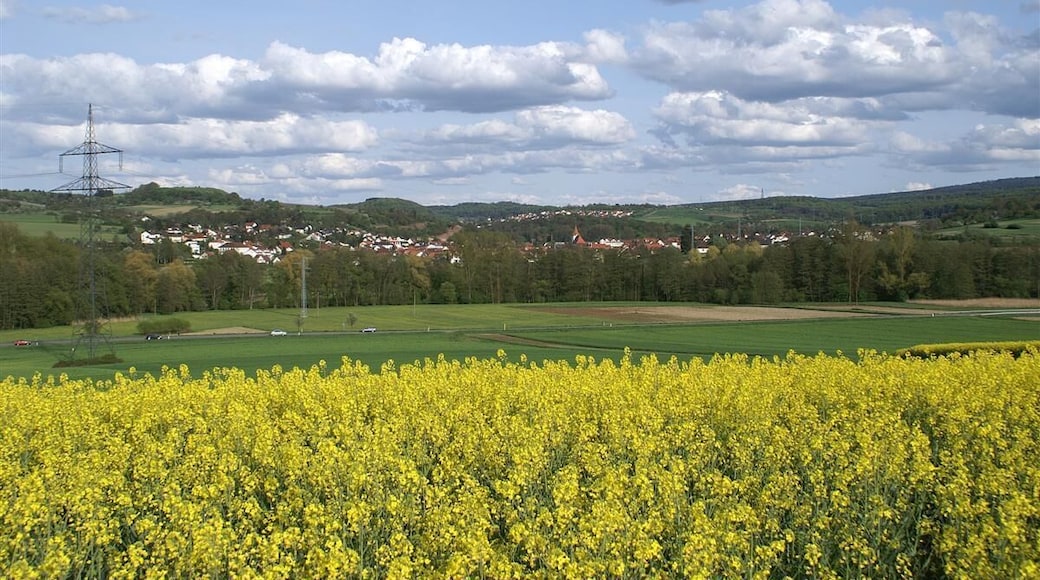 Blick über die Pfinz nach Ellmendingen