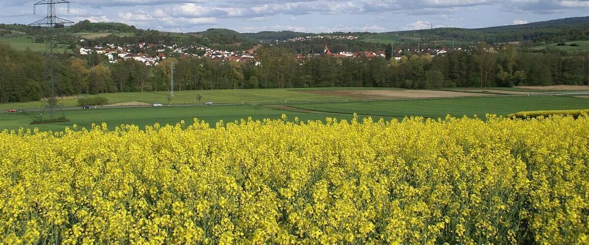 Blick über die Pfinz nach Ellmendingen