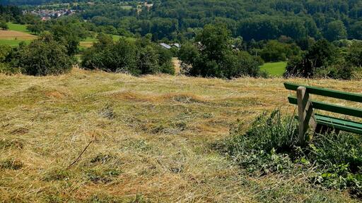 Ausblick bei Keltern
