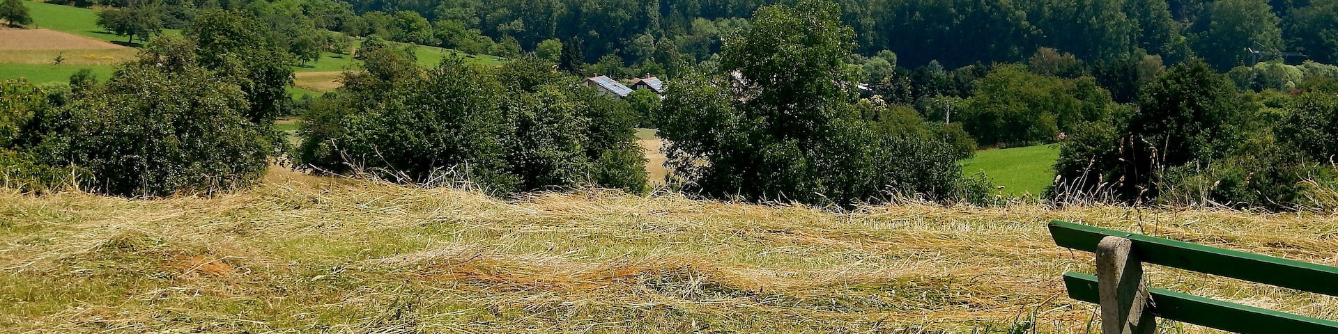 Ausblick bei Keltern