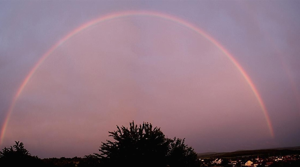 Regenbogen über Ellmendingen