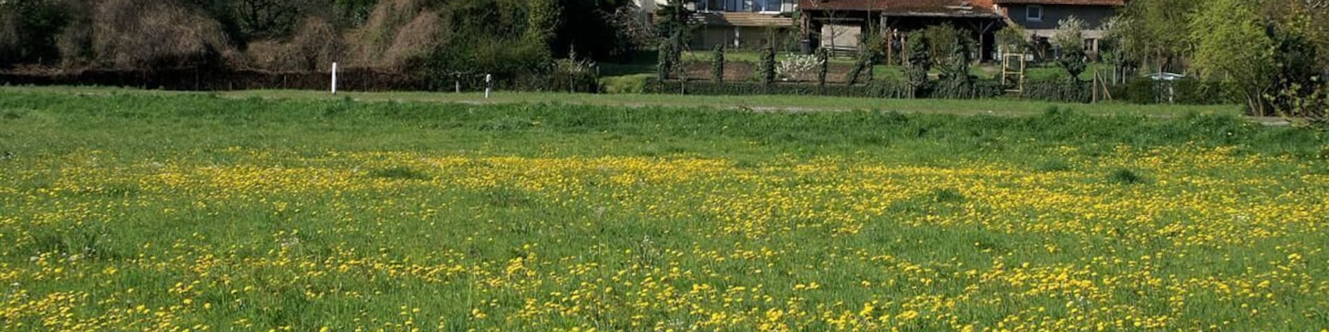 Keltern Dietenhausen 2