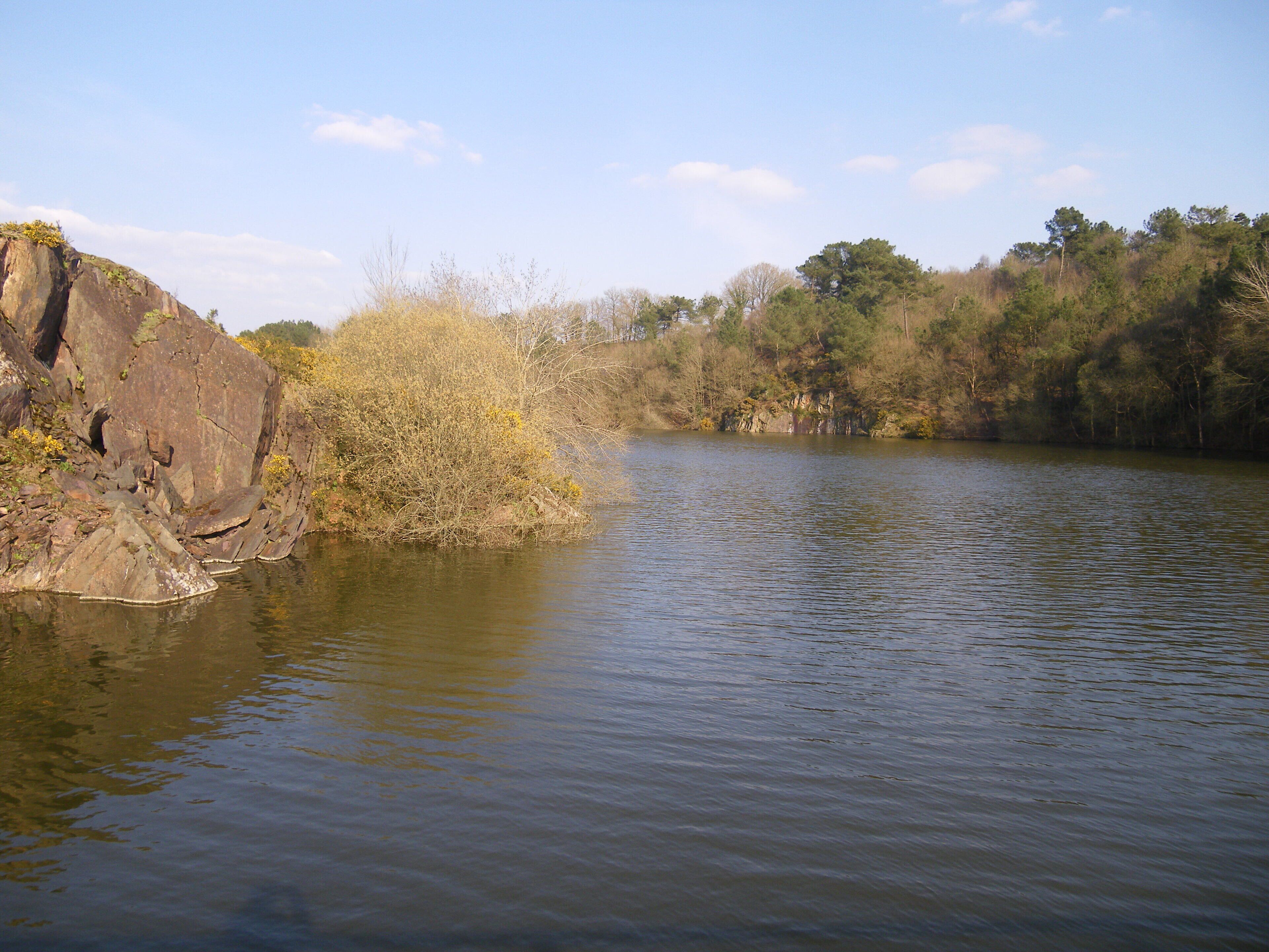 etang entre treffendel et maxent