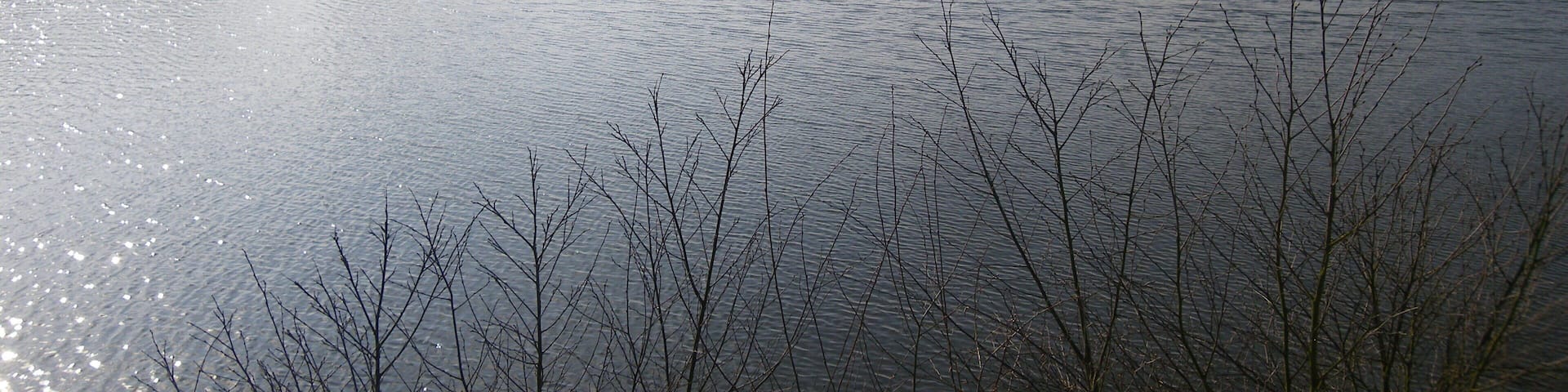 etang entre treffendel et maxent