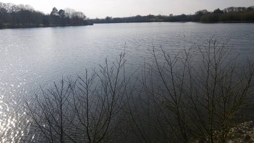 etang entre treffendel et maxent