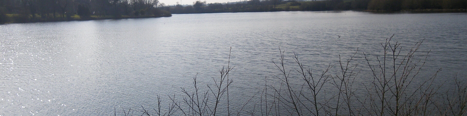 etang entre treffendel et maxent