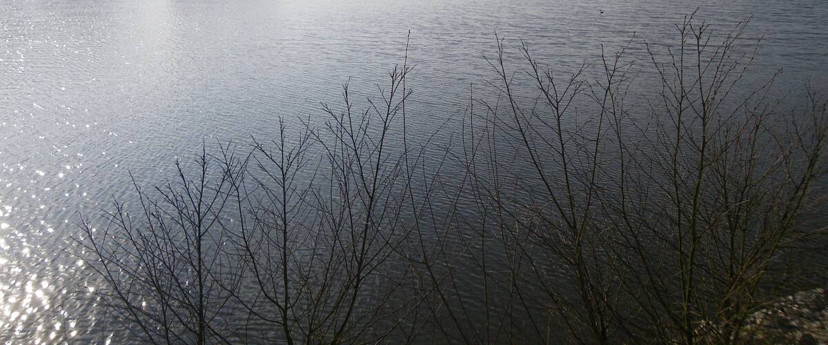 A calm lake with bare trees in the foreground and a clear sky.
