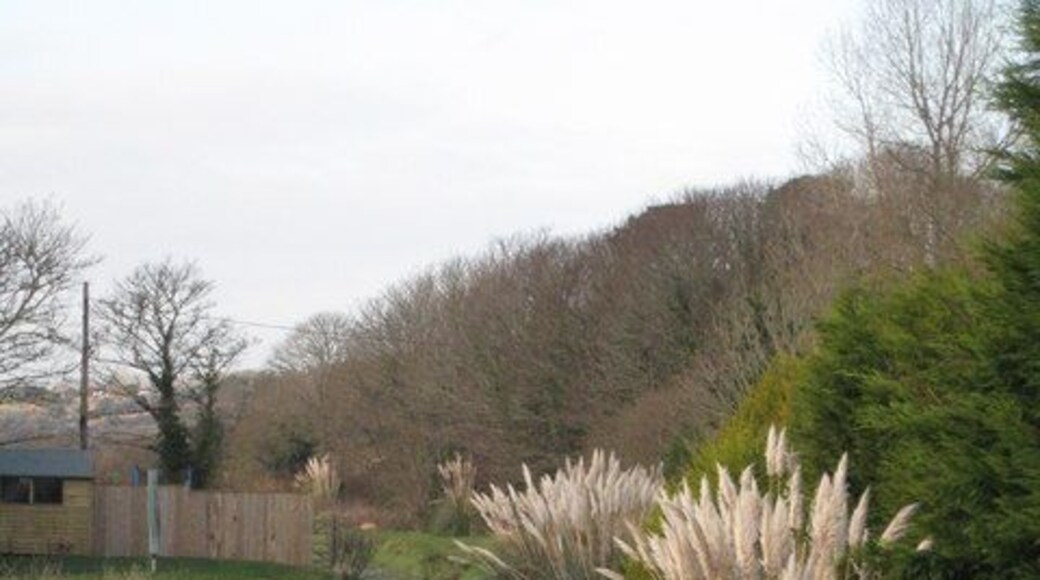 The River Hayle at Godolphin Bridge Looking West from the road bridge.