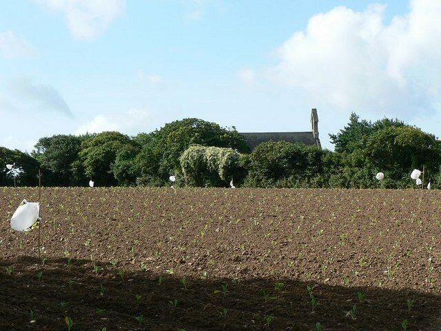 Field of young brassicas, Kirthen Wood Farm. These brassicas had just been planted, I can't tell if they are cabbages, Brussels sprouts or what. The building at the far side of the field is a former chapel, converted to a house at SW51823260