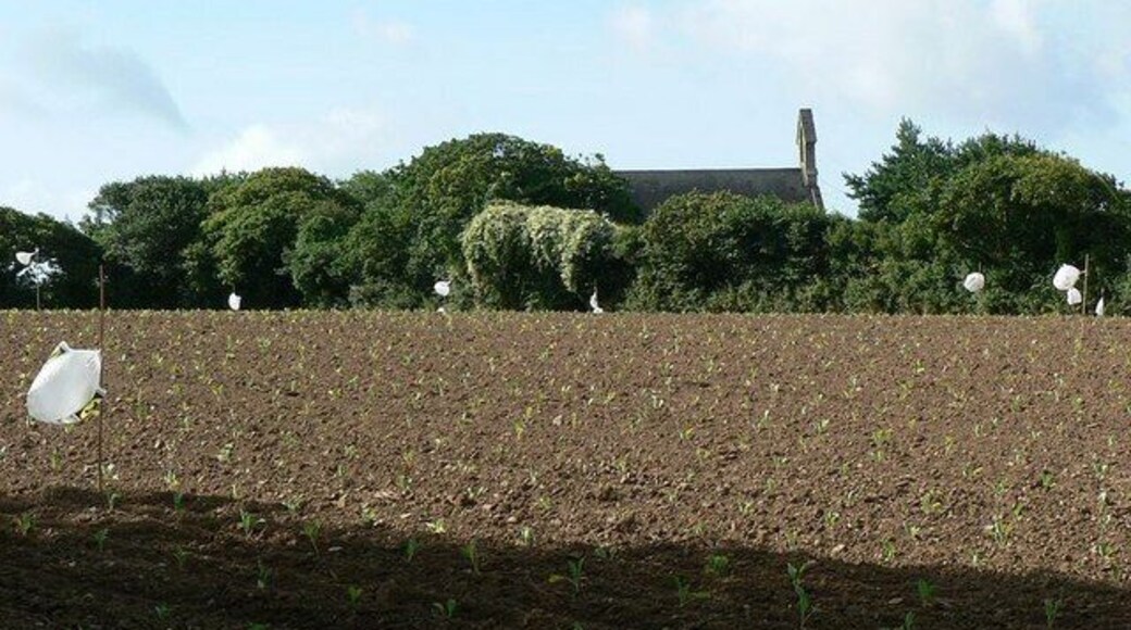 Field of young brassicas, Kirthen Wood Farm. These brassicas had just been planted, I can't tell if they are cabbages, Brussels sprouts or what. The building at the far side of the field is a former chapel, converted to a house at SW51823260