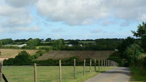 A rural road flanked by a wooden fence and greenery.