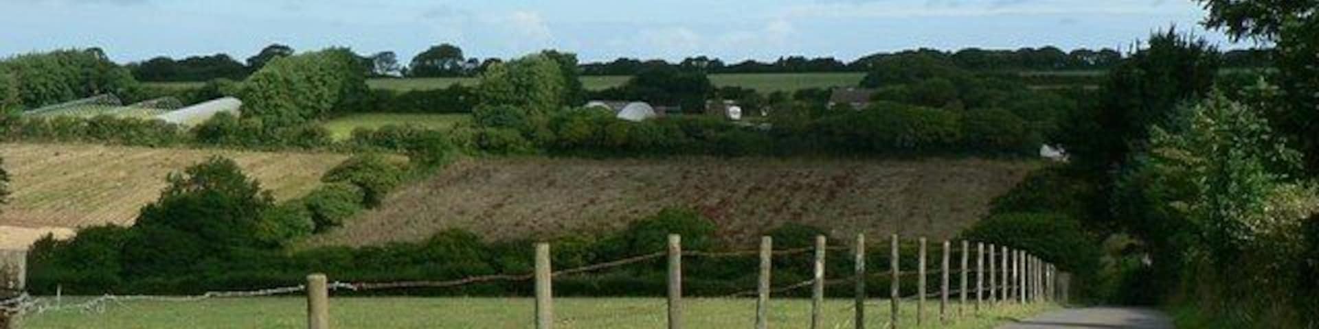 Lane to Kirthen Wood Farm. Looking north across the valley towards the Nursery at SW579331