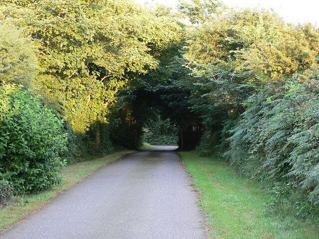 Looking towards Bosence Road, Townshend. The end of the private lane to Kirthen Wood Farm. There is a cattle grid in the shade of the trees, and Bosence Road beyond it.