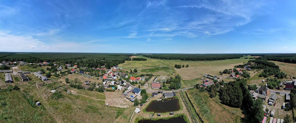 An aerial view of a rural village with houses, a pond, and surrounding forest.