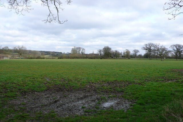 Fields near Caundle Marsh This is the view SE across the square towards Marsh Court which can be seen in the distance from Writh Road and the road from Caundle Marsh to Alweston.