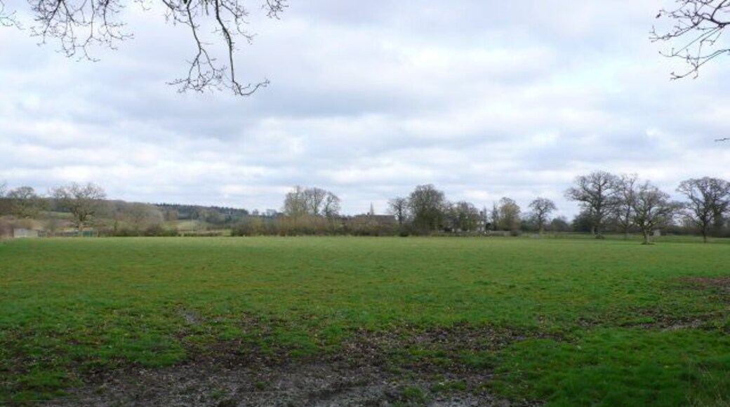 Fields near Caundle Marsh This is the view SE across the square towards Marsh Court which can be seen in the distance from Writh Road and the road from Caundle Marsh to Alweston.