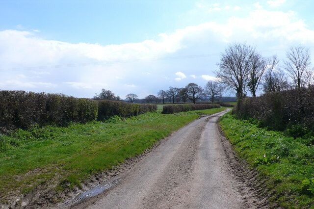 Down Lane Alweston Down Lane is a tiny back lane that runs south from Alweston and is due west of the village of Folke. This is the view south