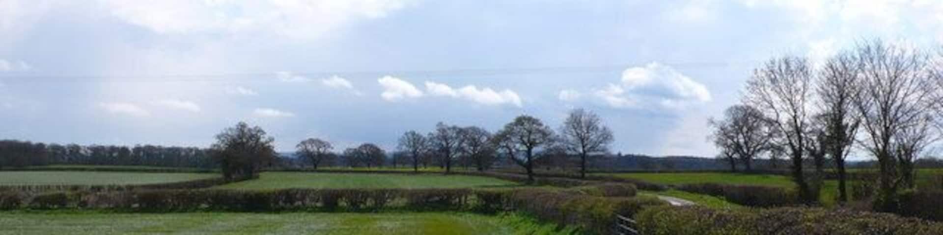 Countryside near Folke View looking south from a pont just west of Folke. A small bit of Down Lane running south from Alweston is visible on the right.