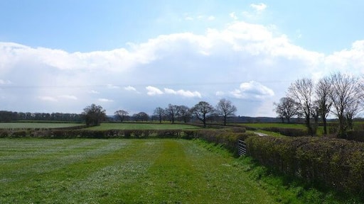 Countryside near Folke View looking south from a pont just west of Folke. A small bit of Down Lane running south from Alweston is visible on the right.