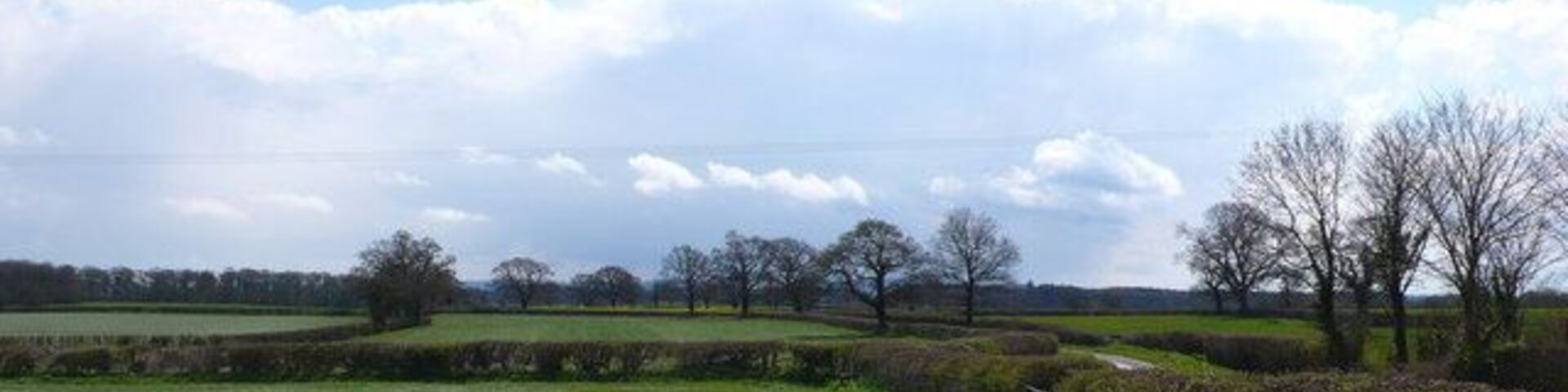 Countryside near Folke View looking south from a pont just west of Folke. A small bit of Down Lane running south from Alweston is visible on the right.