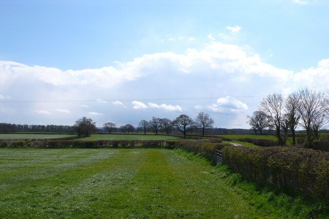 A rural landscape with a grassy path, hedgerows, and trees under a partly cloudy sky.